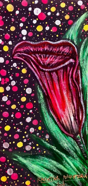 Kaoutar Arhezroq, Cosmic Bloom